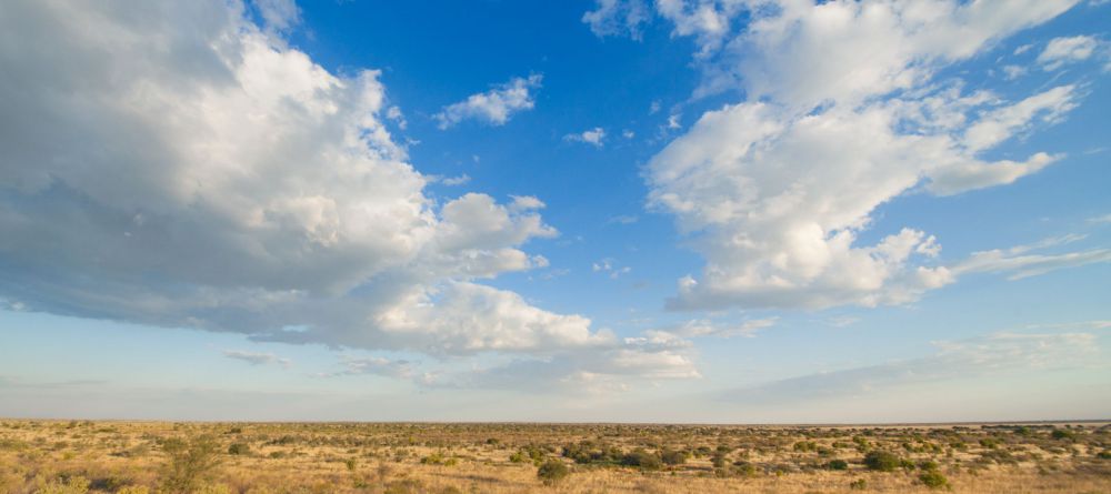 Tau Pan Camp, Central Kalahari Game Reserve, Botswana - Image 5