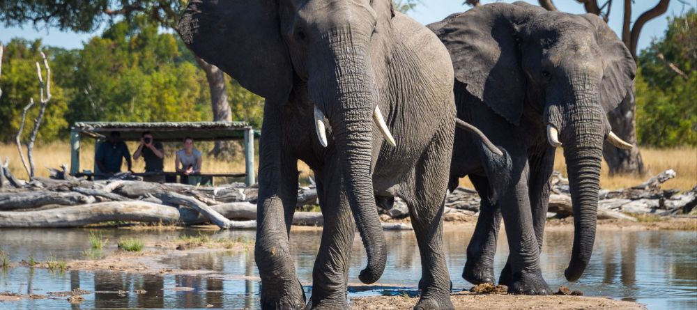 Little Makalolo, Hwange National Park, Zimbabwe - Image 8