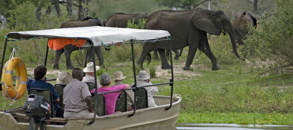 Spotting a herd of elephants while on a boat safari at Lake Manze Tented Camp, Selous National Park, Tanzania - Image 5