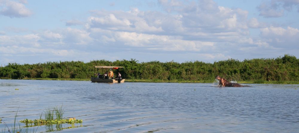 A hippo gets defensive of its territory when a boat safari comes too near at Lake Manze Tented Camp, Selous National Park, Tanzania - Image 6