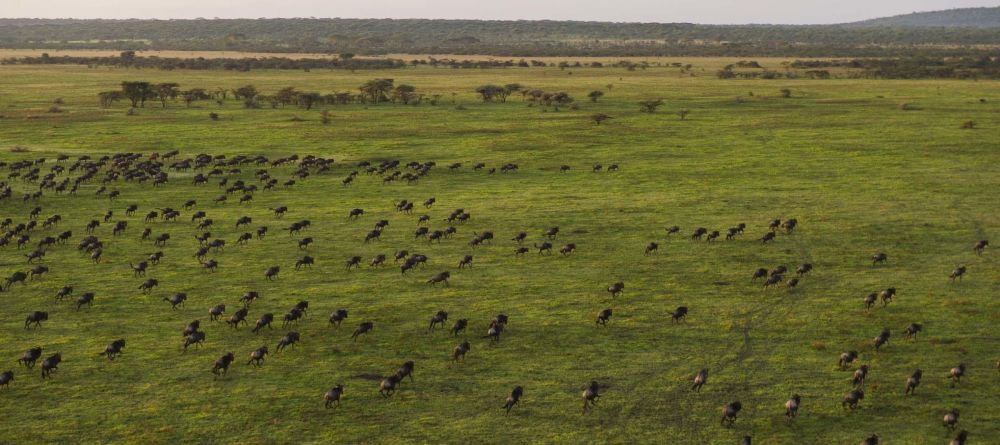 Mwiba Lodge, Serengeti National Park, Tanzania - Image 2