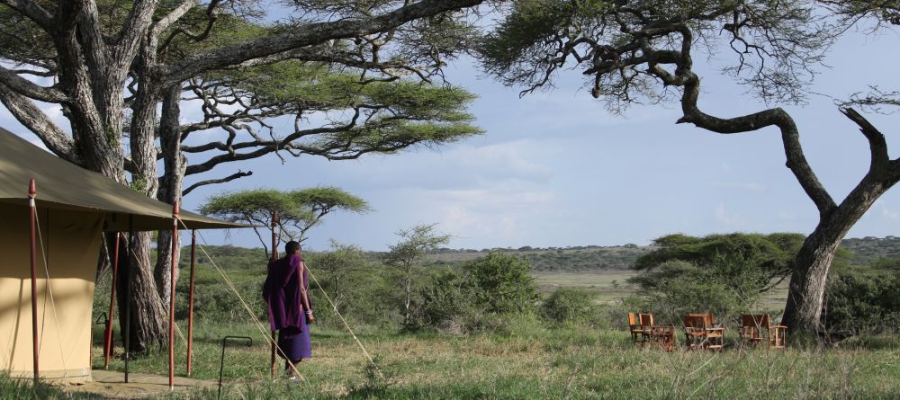 Lemala Ndutu Safari Camp, Serengeti National Park, Tanzania - Image 4