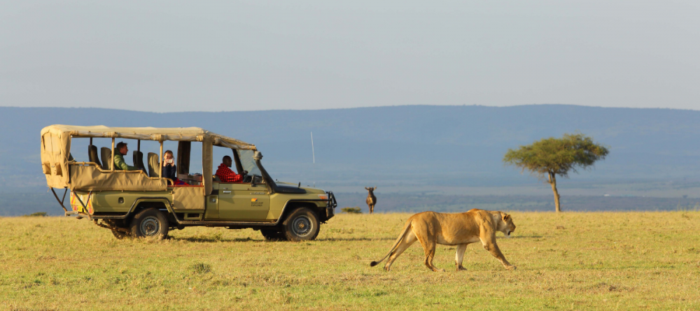 Leopard Hill - Image 5