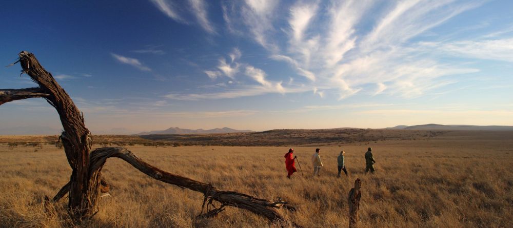 Lewa Safari Camp, Lewa Conservancy, Kenya - Image 9