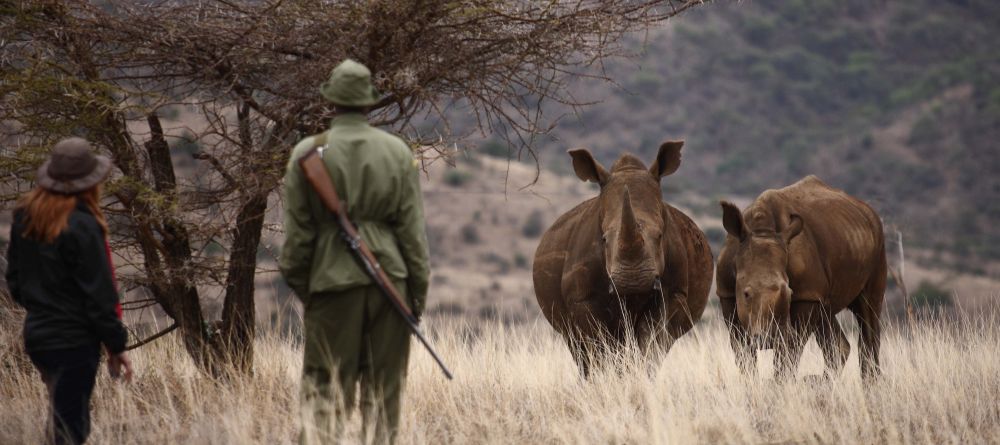 Lewa Safari Camp, Lewa Conservancy, Kenya - Image 9