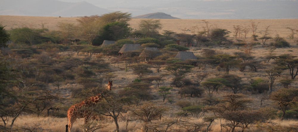 Lewa Safari Camp, Lewa Conservancy, Kenya - Image 11