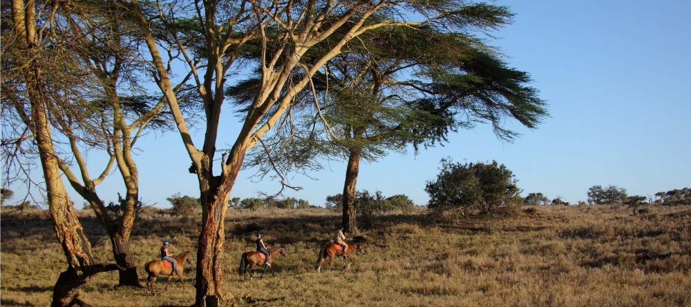 Lewa Safari Camp, Lewa Conservancy, Kenya - Image 12