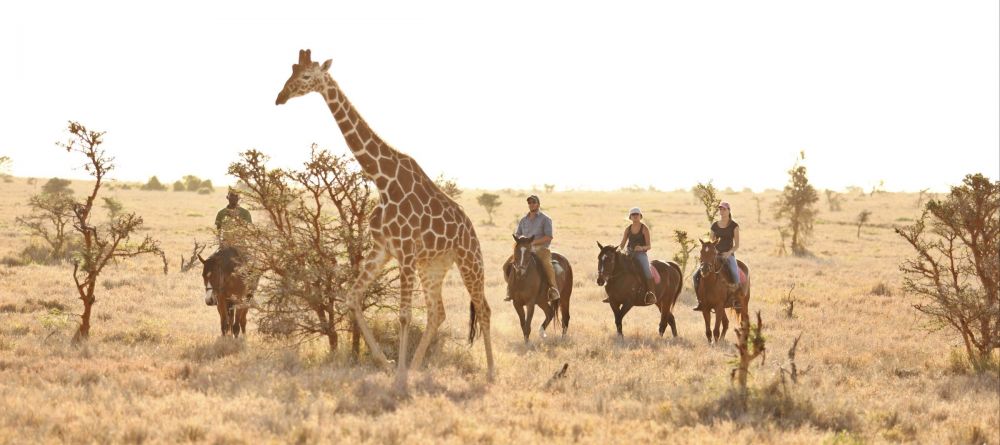 Activities - Lewa Wilderness Lodge - Image 21