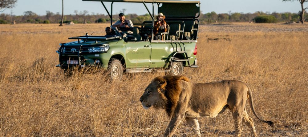 Linkwasha, Hwange National Park, Zimbabwe - Image 12