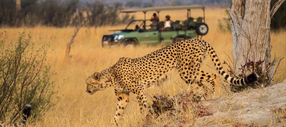 Linkwasha, Hwange National Park, Zimbabwe - Image 6