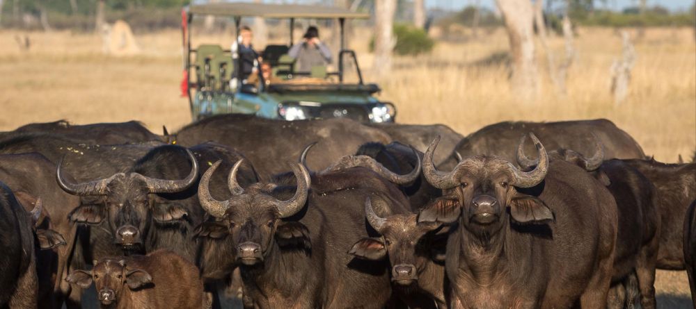 Linkwasha, Hwange National Park, Zimbabwe - Image 16