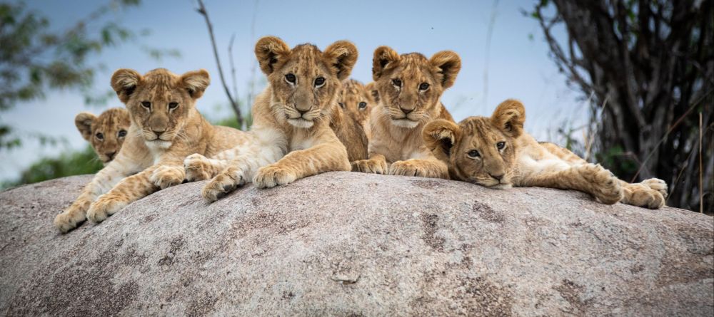 Lamai Serengeti, Serengeti National Park, Tanzania - Image 14