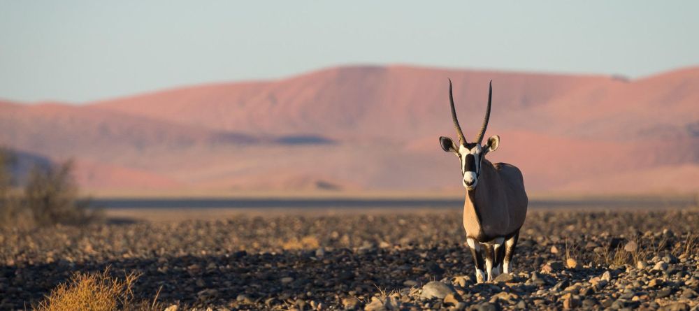 Little Kulala, Sossusvlei, Namibia - Image 4