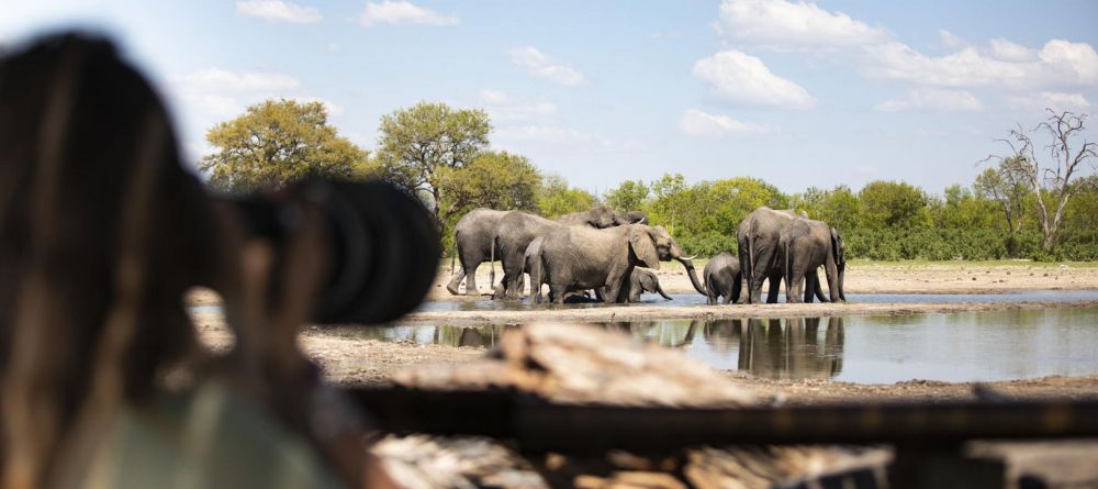 Little Makalolo, Hwange National Park, Zimbabwe - Image 5