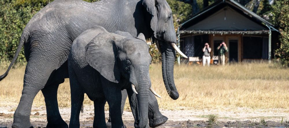 Little Makalolo, Hwange National Park, Zimbabwe - Image 3