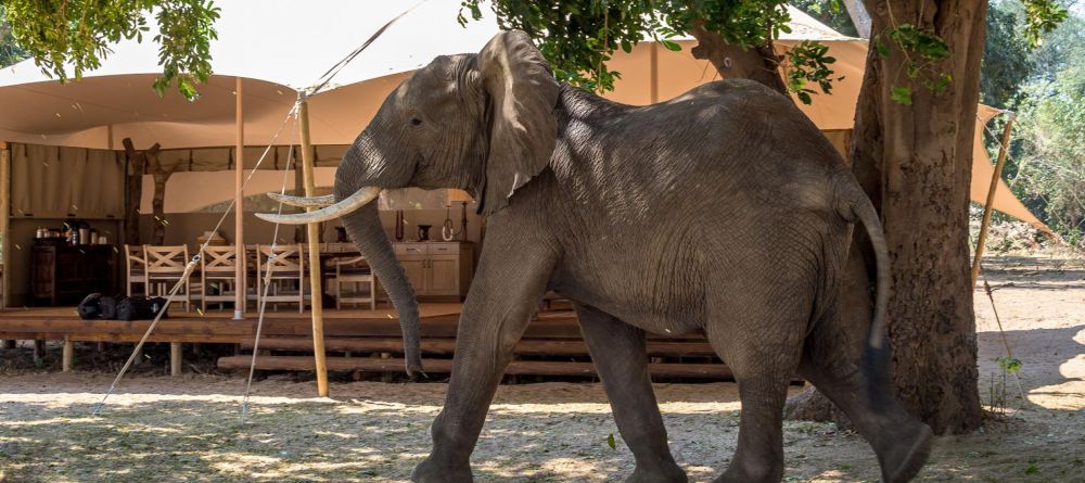 Fish River Lodge - Image 10