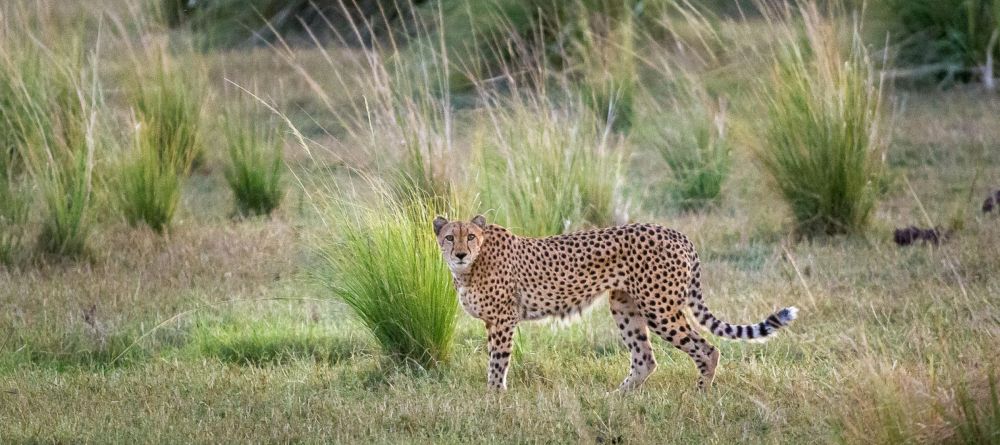 Fish River Lodge - Image 2