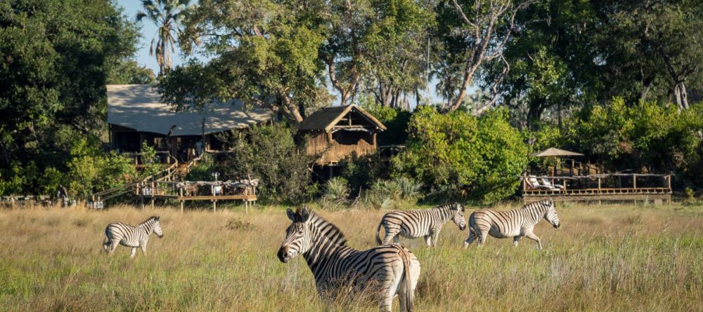 Little Tubu Tree Camp, Okavango Delta, Botswana - Image 1