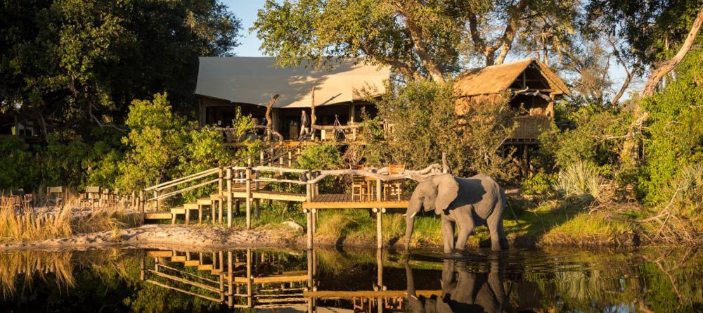 Little Tubu Tree Camp, Okavango Delta, Botswana - Image 9