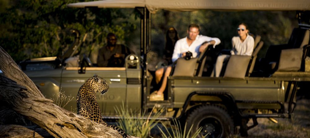 Game drive - Image 5