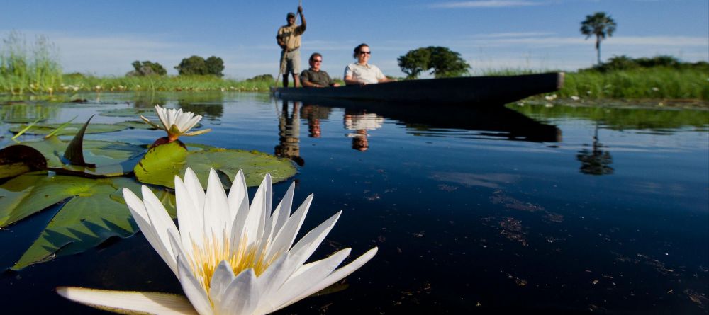 Little Tubu Tree Camp, Okavango Delta, Botswana - Image 5