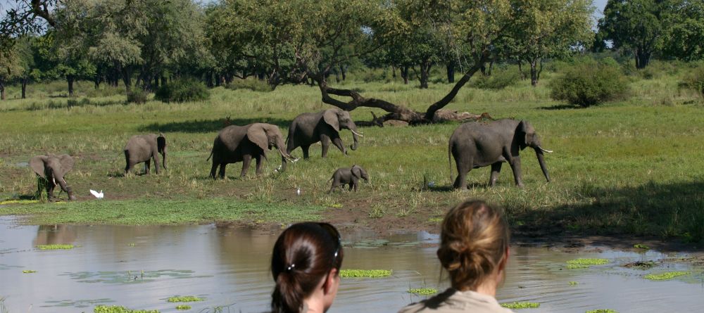 Luangwa Safari House, South Luangwa National Park, Zambia - Image 10