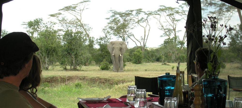 Lunch with the elephants- Ol Pejeta Bush Camp, Ol Pejeta Reserve, Kenya - Image 5