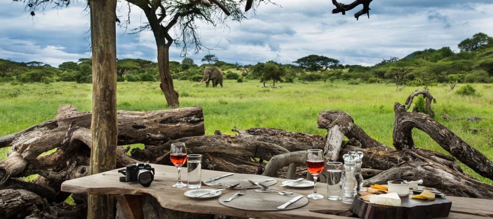 Ol Donyo Lodge, Chyulu Hills, Kenya - Image 13