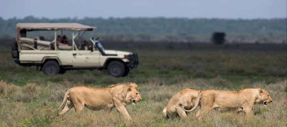 Kusini Camp, Serengeti National Park, Tanzania - Image 12