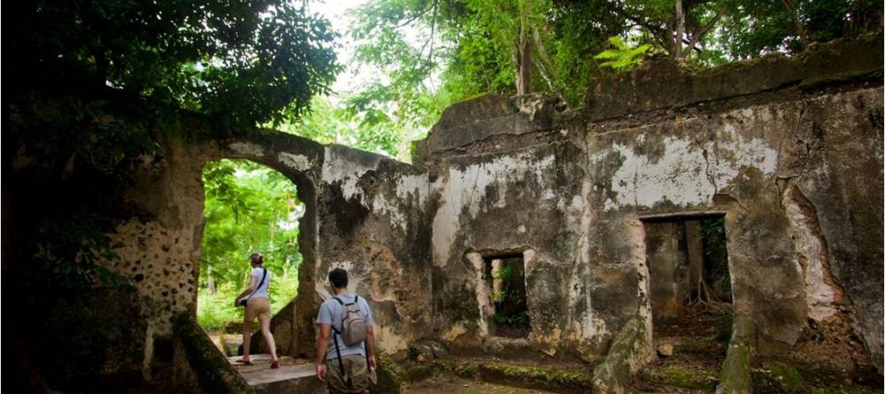 Ruins overgrown by the jungle make for a magical setting to hike at Kinasi Lodge, Mafia Island, Tanzania - Image 14