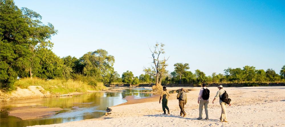 Nature walk at Nsolo Bush Camp, South Luangwa National Park, Zambia - Image 4