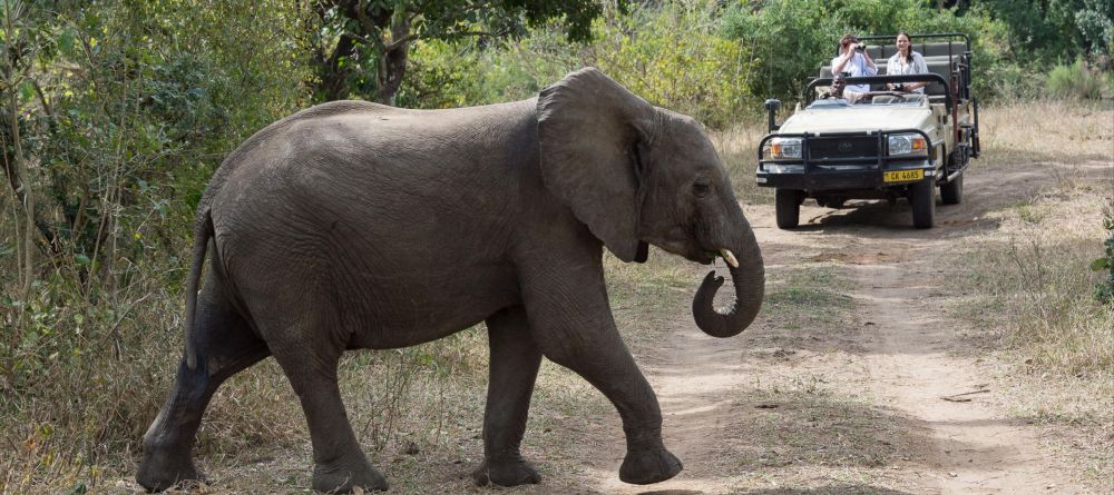 Mkulumadzi Lodge, Majete National Park, Malawi - Image 11