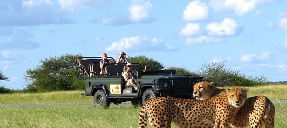 Mala Mala Rattrays Camp, Sabi Sands Game Reserve, South Africa - Image 7