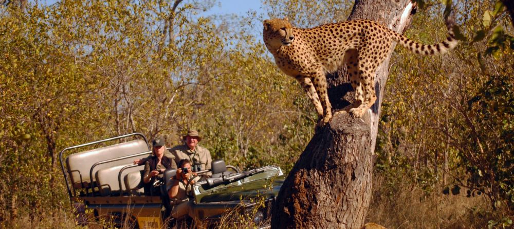 Mala Mala Rattrays Camp, Sabi Sands Game Reserve, South Africa - Image 5