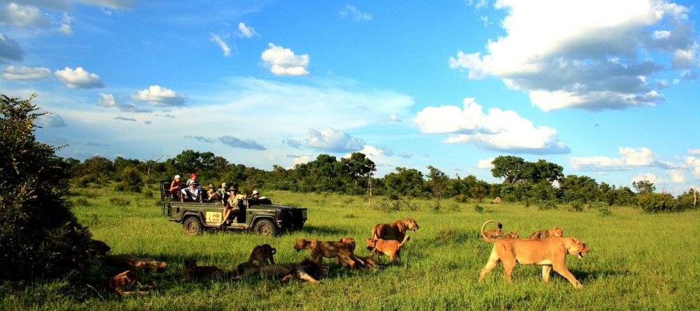 Mala Mala Rattrays Camp, Sabi Sands Game Reserve, South Africa - Image 3