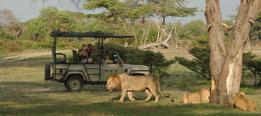 Lions spotted on a game drive at Lake Manze Tented Camp, Selous National Park, Tanzania - Image 10