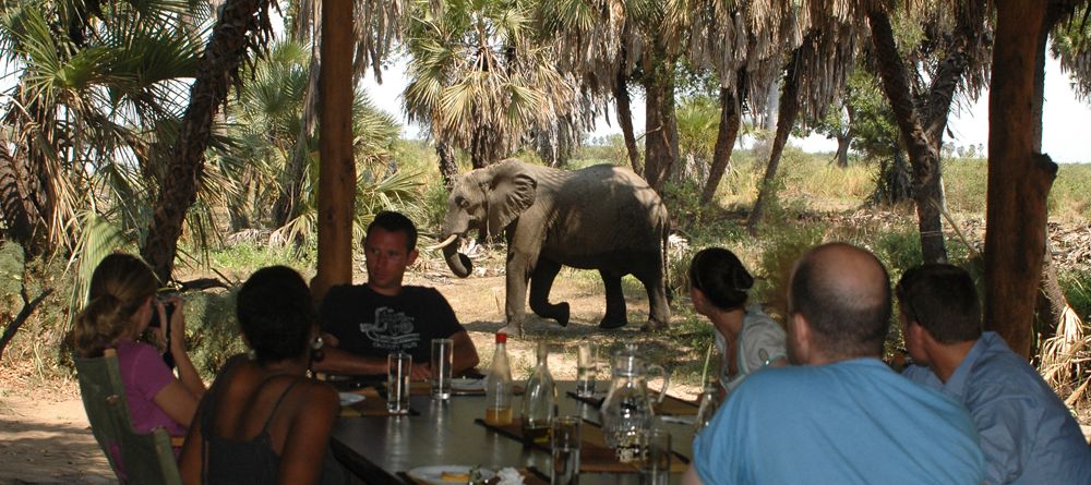 Having lunch with an elephant at Lake Manze Tented Camp, Selous National Park, Tanzania - Image 4