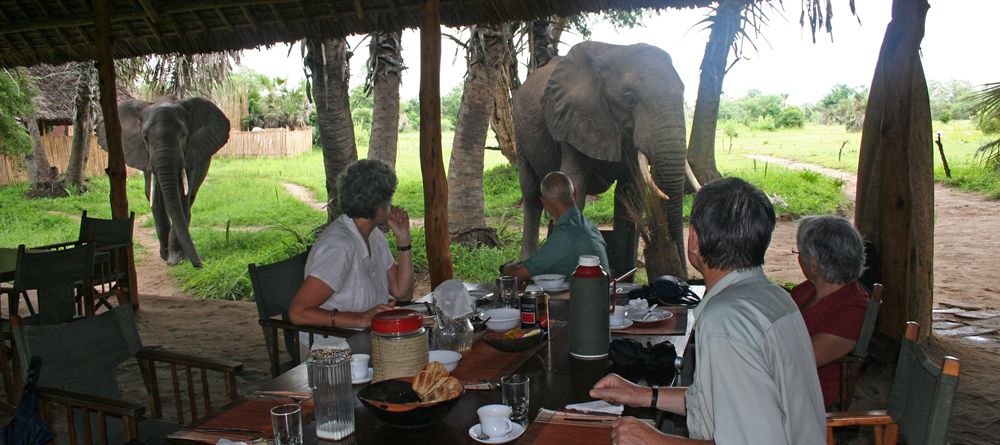 Having lunch with an elephant at Lake Manze Tented Camp, Selous National Park, Tanzania - Image 3