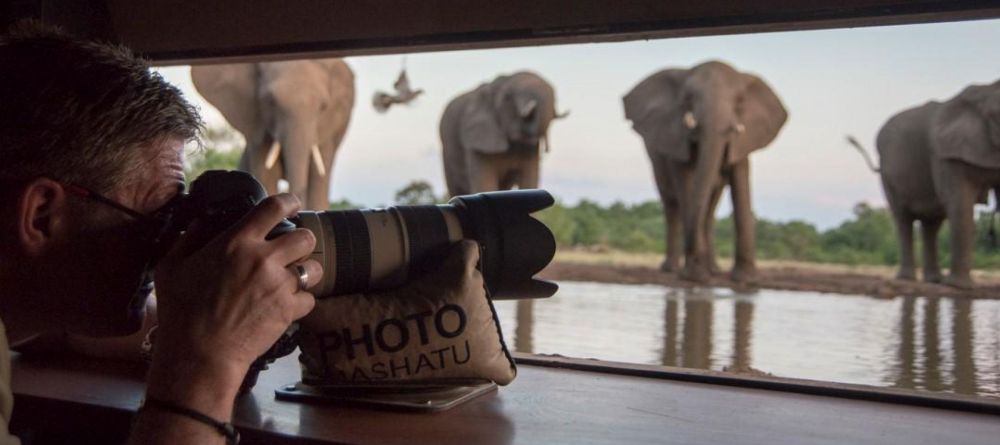 Mashatu Lodge, Mashatu Game Reserve, Botswana - Image 20