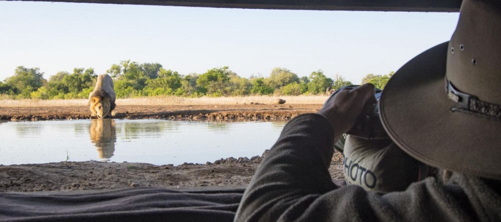 Mashatu Lodge, Mashatu Game Reserve, Botswana - Image 22