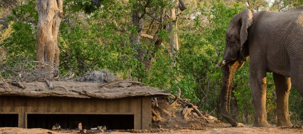 Mashatu Lodge, Mashatu Game Reserve, Botswana - Image 25