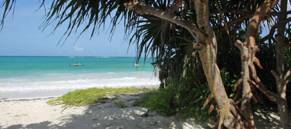 Matemwe Beach Guesthouse, Zanzibar, Tanzania - Image 4