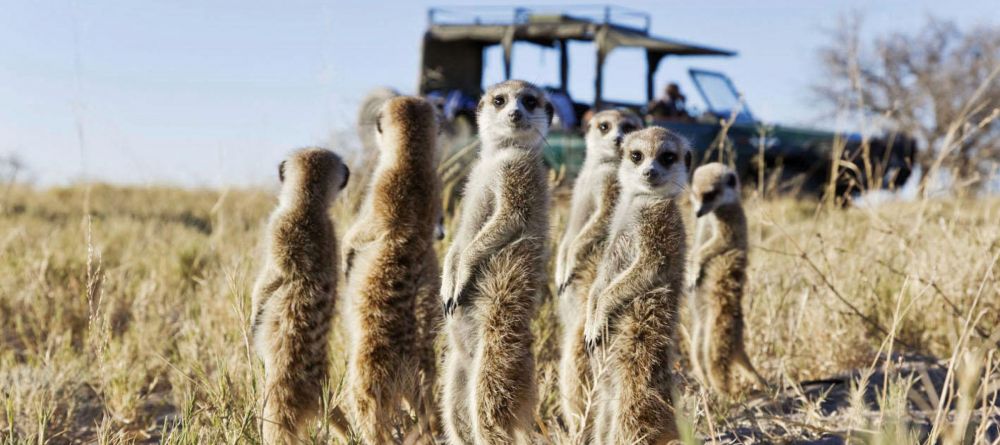 Jacks Camp, Kalahari Desert, Botswana - Image 6