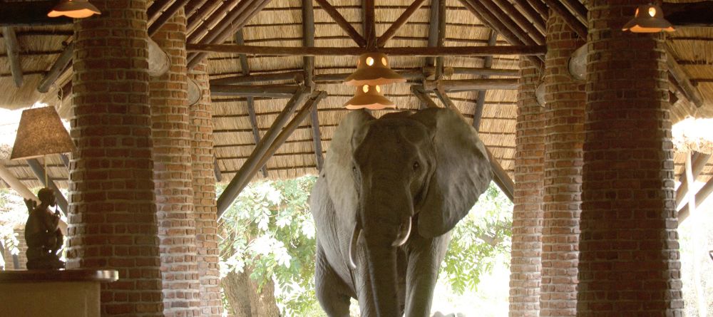 Mfuwe Lodge, South Luangwa National Park, Zambia - Image 1