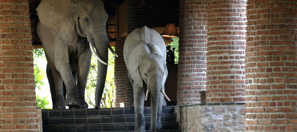 Mfuwe Lodge, South Luangwa National Park, Zambia - Image 2