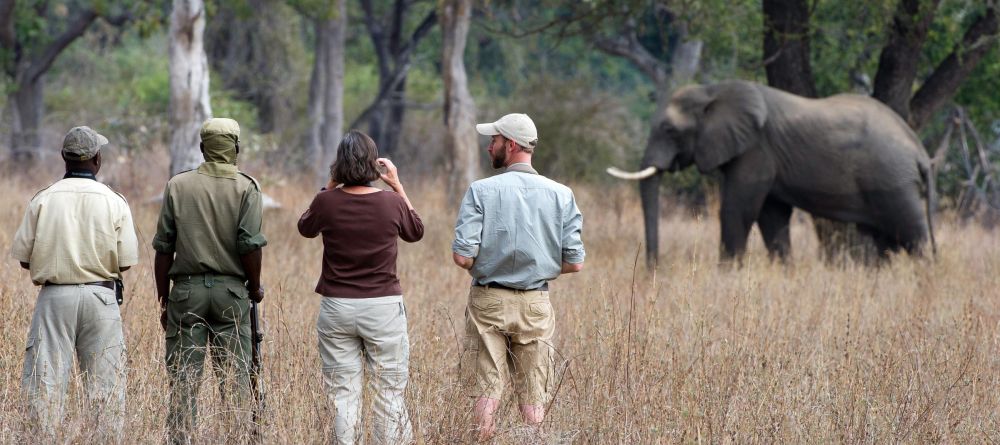 Zungulila Bushcamp, South Luangwa National Park, Zambia - Image 15