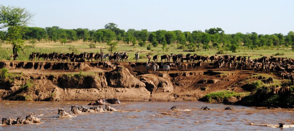 Lemala Ndutu Safari Camp, Serengeti National Park, Tanzania - Image 10