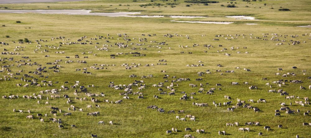 Jacks Camp, Kalahari Desert, Botswana - Image 18