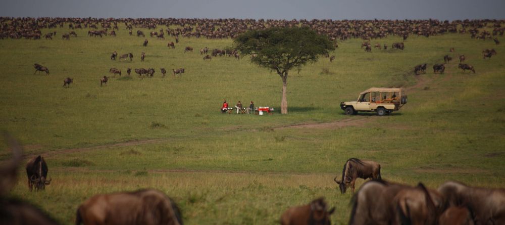 A bush breakfast among the masses of wildebeest during the Great Migration at Naibor Camp, Masai Mara National Reserve, Kenya - Image 3