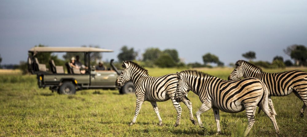 Mombo Camp, Moremi Game Reserve, Botswana - Image 16